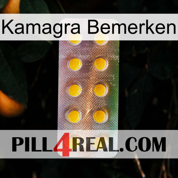 Kamagra Notice new11